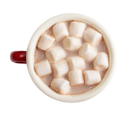 Fototapeta na wymiar Mug cocoa with marshmallows