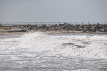 Japan sea wave