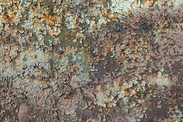 Old metal green and blue painted background with streaks of rust for creativity, textures and backgrounds.