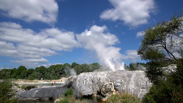 Geyser Rotorua in New Zealand. Underground source of natural hot water