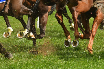 Horse racing action