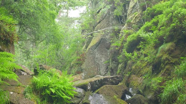Burn O Vat Waterfall, Aberdeenshire, Scotland - Untouched Version