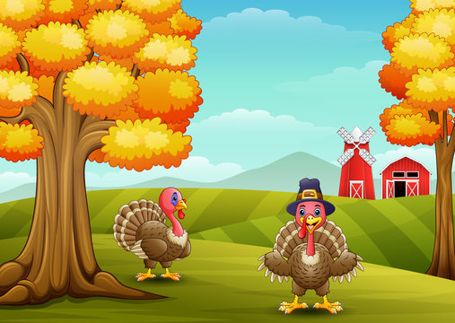 Two funny turkeys in farm background