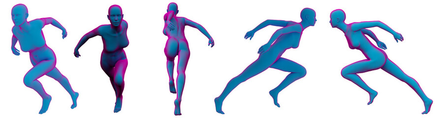 Obraz na płótnie Canvas 3D rendering illustration of the human anatomy