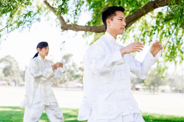 People practicing thai chi in park