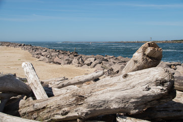 Driftwood and logs stacked up on the beach in front of the TIllamook Jetty.