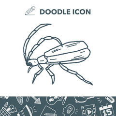 insect doodle