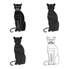 Panther, predatory animal. Pantera, wild cat single icon in cartoon style vector symbol stock illustration web. © pandavector