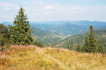 Mountain landscape in Carpathian