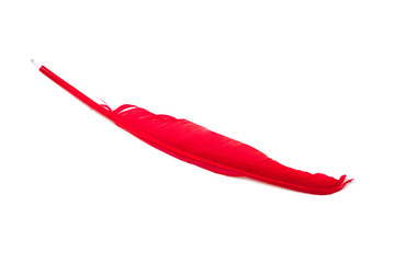 Original pen in form of cock feather on white background