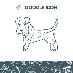 dog doodle