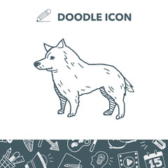 dog doodle