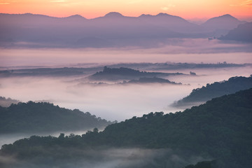 Beautiful landscape. Majestic view on beautiful fog mountains in mist landscape