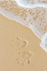 Hand print of couple with wedding rings on sand.Wedding travel, beach marriage, honeymoon