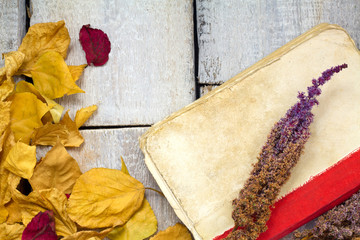 autumn background with colored leaves, book and flower on wooden board