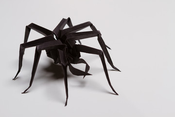 White Halloween Background. Black spider