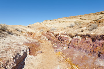 Landscape of the desert in Israel