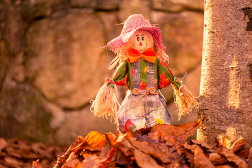 Scarecrow smiling at autumn
