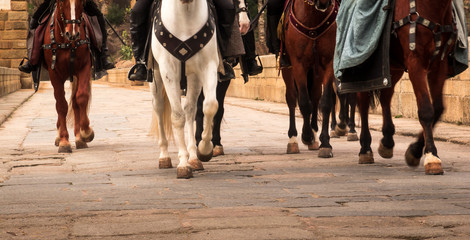 Horseback riding across a bridge