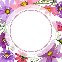 Wildflower kosmeya flower frame in a watercolor style. Full name of the plant: kosmeya. Aquarelle wild flower for background, texture, wrapper pattern, frame or border.