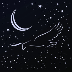 Fototapeta na wymiar night flying bird in the sky
