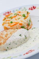 rice with chicken cutlet