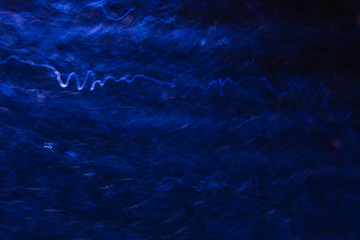 Abstract background of white and blue waves in motion on black. Bokeh of defocused curves, blurred neon leds, similar to electricity and power, backdrop of lightning strike and magnet field
