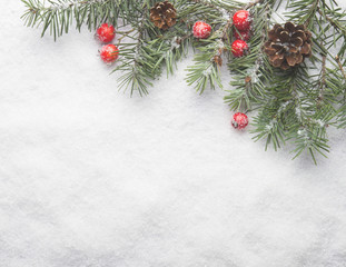Obraz na płótnie Canvas Christmas fir tree on snow background