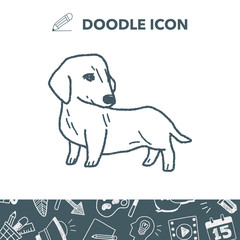 dog doodle