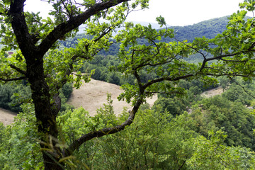 Mountain gorges of Quirino in Matese park