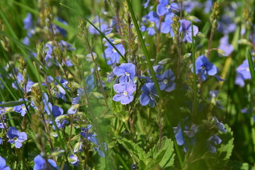 Пейзажи России Landscapes of Russia