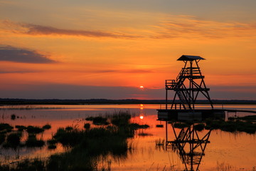 Beautiful summer landscape, the dawn on the lake