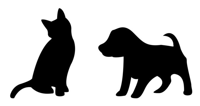 Puppy and kitten silhouette on white background