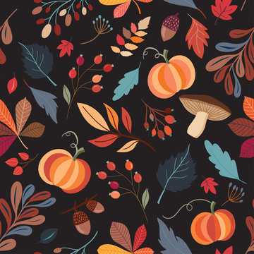 Autumnal seamless pattern with hand drawn decorative elements