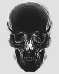 Front on close up of a high contrast holographically styled rendering of a highly detailed skull model.
