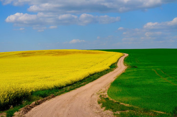 Obraz premium Sandy rural road among the fields. Summer landscape with road
