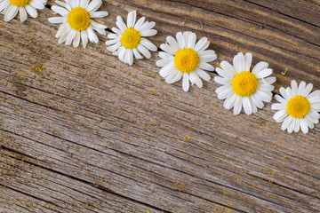 Border of daisy chamomile flowers on wooden background. View with copy space