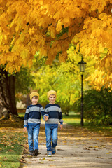 Two beautiful children, boy brothers, walking on a path in beautiful renaissance castle Hluboka