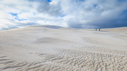 Lancelin Sand Dunes in Western Australia
