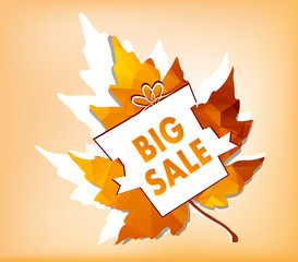 Autumn new season of sales and discounts, deals and offer