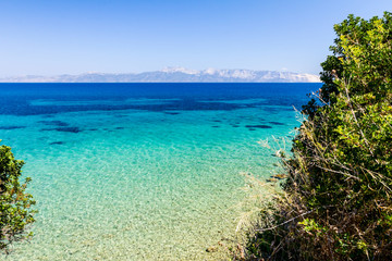 Fototapeta premium Beautiful shallow sea with vegetation around bay, pine trees