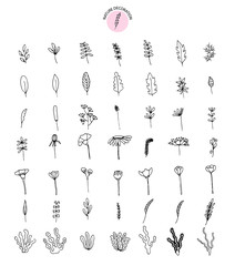 Hand Draw Banners leaves,flower,branches,plant