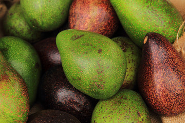 green and black avocado