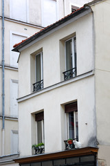 Fototapeta na wymiar Chat de gouttière et vieil immeuble à Paris