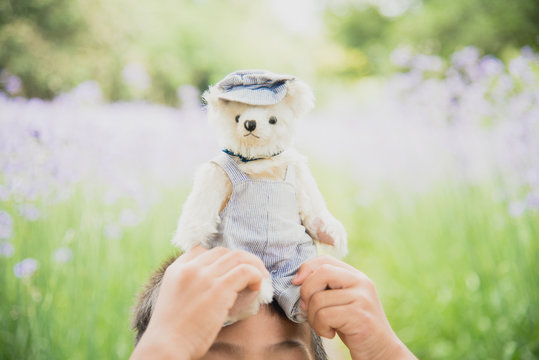 Vibrant outdoor photo of teddy bear sitting on the yard at the park with the white flower and green grasses