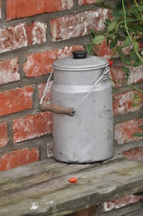 Kanka na mleko © Maria