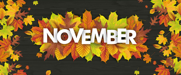 Autumn Foliage Fall Header November Wood