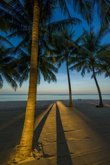 the Caribbean islands