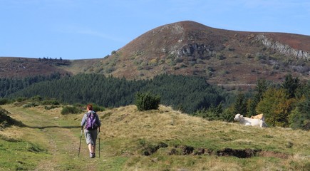 randonnée en Auvergne