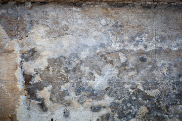 Texture